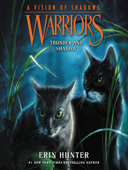 Cover image for Thunder and Shadow
